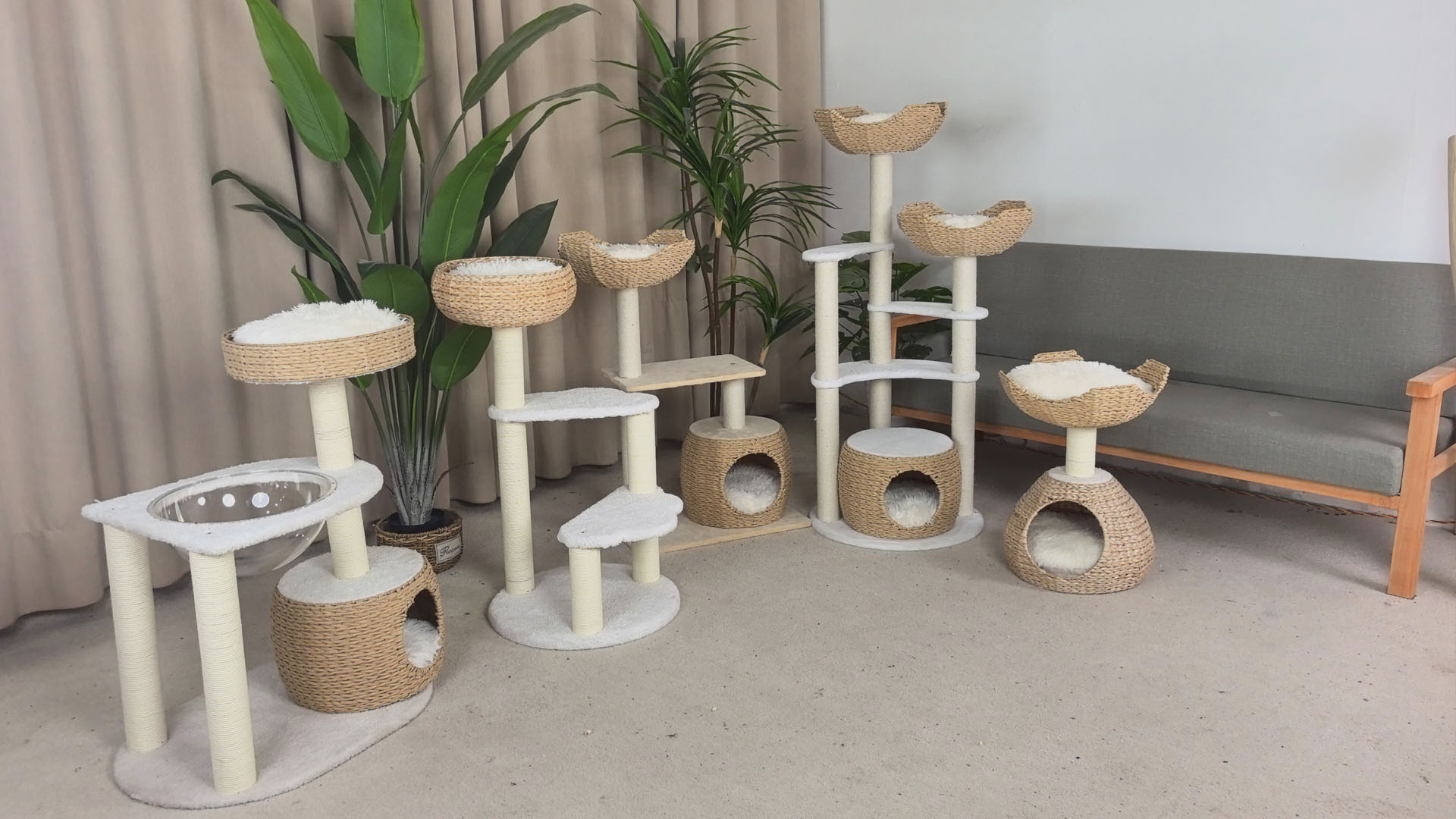 30 Years of Craftsmanship, Creating Cozy Homes for Pets